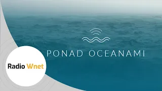 Ponad Oceanami: Groźby posła Brauna wobec Niedzielskiego, laserowe wycieraczki Elona Muska