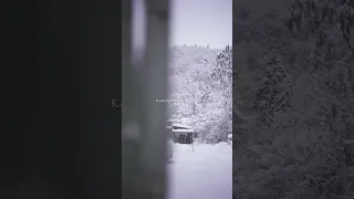 The Japanese ❄️ Winter Paradise of Kakunodate