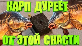 Снасть БОМБА!!! Самый простой и уловистый МАКУШАТНИК на карпа ПРОЩЕ некуда.