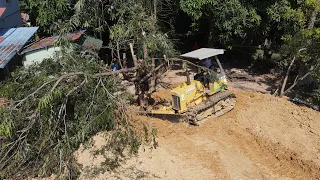 OMG !! Dynamic Load Dozer Operator Skill  Pushing Big tree and clearing Forestry