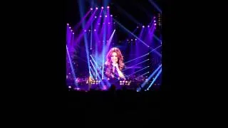 Céline Dion - On ne change pas (Live à Paris 25/11/2013)