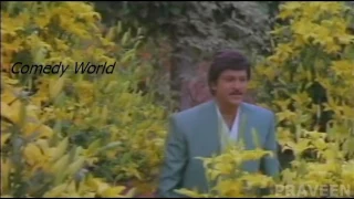 Donga Police1992 Aa Poola Rangu Video Song