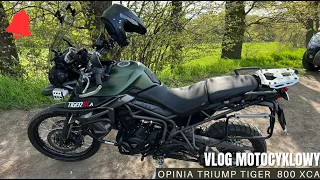 TRIUMPH TIGER 800 XCA  - Recenzja Opinia właściciela