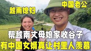 帮越南丈母娘家收谷子，中国女婿忙前忙后，亲戚们：小秋嫁对人了