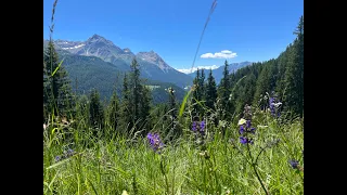 Cycling Livigno and Foscagno