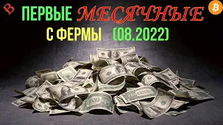 ДОХОДНОСТЬ МАЙНИНГ ФЕРМЫ / август 2022 / майнинг