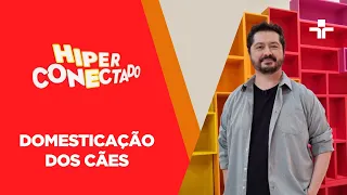 Hiperconectado | Domesticação de Cães | 11/02/2023