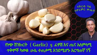 Ethiopia | USA |የነጭ ሽንኩርት  ( Garlic)  5  ፈዋሽ እና ጤና አለምላሚ ጥቅሞች ካወቁ  ሁሌ ተጠቃሚ ይሆናሉ | የቅርብ ግዜ የምርምር ውጤት