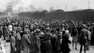 The Vrba-Wetzler report: Documenting the atrocities at Auschwitz