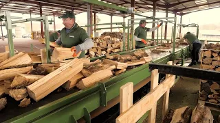 Amazing Firewood Processing Machines, Powerful Wood Splitting Processing