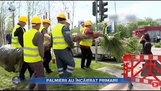 Stirile Kanal D (15.05.2023) - Palmierii au incaierat primarii | Editie de seara