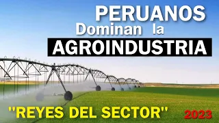7 EMPRESAS AGROINDUSTRIALES, que hacen del Perú 🇵🇪 un país exportador de Clase Mundial