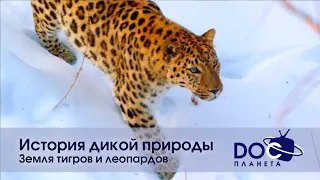 История дикой природы - Фильм 1. Земля тигров и леопардов - Документальный фильм