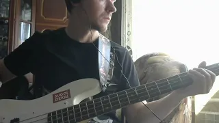 Тараканы - Делай сам! (bass cover)