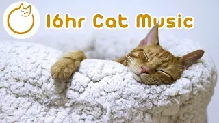 EXTRA LONG Cat Relaxation Music! New 2019🐈