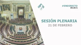 Sesión Plenaria (21/02/2019)