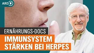 Herpes mit richtiger Ernährung in Schach halten | Die Ernährungs-Docs | NDR