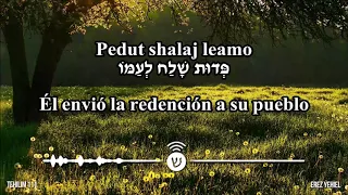 Tehillim / תהלים / Salmos: 95,1, 6, 20, 24, 67, 91, 100, 111, 121, 144, 145, 150 - Elad Tsfira