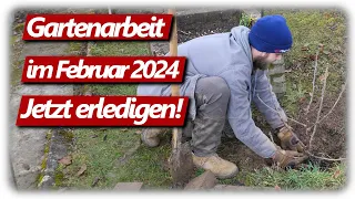 Gartenarbeit Februar | Feigen schneiden, Weinreben, Gartenplanung, Johannisbeeren pflanzen & düngen