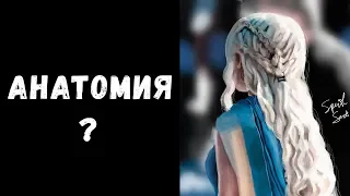 Как выучить анатомию