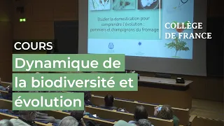 Dynamique de la biodiversité et évolution (7) - Tatiana Giraud (2021-2022)