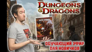 Как начать играть в Dungeons & Dragons