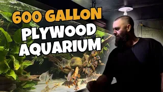 HOW I BUILT MY MONSTER PLYWOOD AQUARIUM (Full Walkthrough)