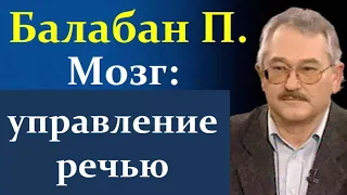 Балабан П. Мозг и речь. Функции, расстройства и связь.