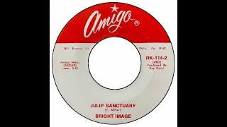 Bright Image - Julip Sanctuary