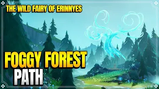 Foggy Forest Path | The Wild Fairy of Erinnyes | World Quests & Puzzles |【Genshin Impact】