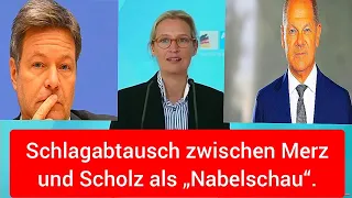 "Bundestags-Debatte: Alice (AfD) im Rampenlicht - Merz & Scholz liefern hitzigen 'Nabelschau'