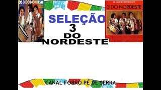 3 DO NORDESTE AS MELHORES