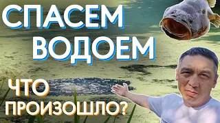 Спасем водоем часть 3. Продолжаем спасать заросший водоем бюджетными способами.