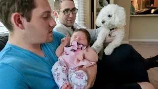 MY DOG GETS JEALOUS MEETING A BABY FOR THE FIRST TIME!