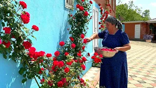 GRANDMA COOKED FLOWERS AND COOKED JAM AND SWEETS IN THE VILLAGE