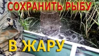 Как СОХРАНИТЬ РЫБУ в ЖАРУ при выезде,на 3 - 4 дня,на РЫБАЛКУ ( ответ подписчику )