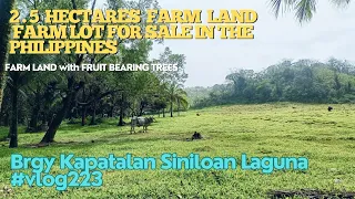 #vlog223 FARM LOT FOR SALE IN PHILIPPINES - 2.5 HECTARES BRGY KAPATALAN SINILOAN LAGUNA - TCT TITLE