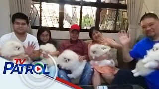 KBYN: 30 Pomeranians, alaga ng dog lover mula Biñan | TV Patrol