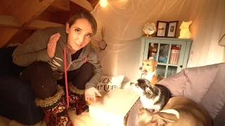 Making A Tiny Living Room For My Dogs