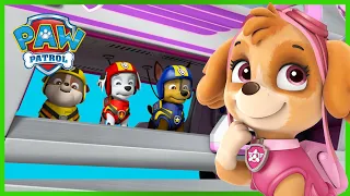 VELKÁ ZÁCHRANA: Tlapky zachraňují tygry - Tlapková Patrola PAW Patrol - pohádky pro děti