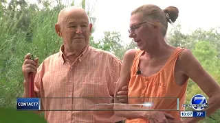 Jefferson County homeowner reaches plea deal in bridge dispute, but resolution falls through