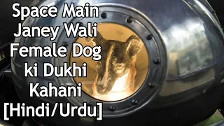 Story of Laika The Space Dog  [Urdu/Hindi]