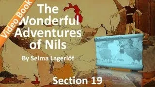 19 - The Wonderful Adventures of Nils by Selma Lagerlöf - The Big Bird Lake