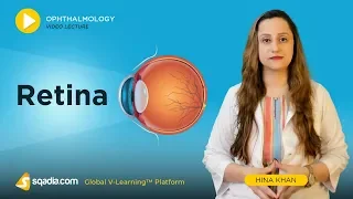 Retina | Ophthalmology Training | Medical V-Learning Educational Platform | sqadia.com