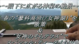 ～～眼下に広がる神秘の絶景～～　春の蓼科高原（/女神湖）を散策＆”女神のそらテラス”でスペシャル・ティータイム！！！！