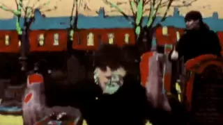 The Coral - In the Morning (Video)