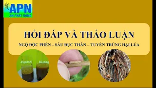 APN - HỎI ĐÁP THẢO LUẬN VỀ BỆNH VÀNG CAO, SÂU ĐỤC THÂN, TUYẾN TRÙNG HẠI LÚA