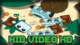 STARVE.IO - THE BEST NOOB FRIENDS LOL!