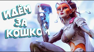 ИДЁМ ЗА КОШКОЙ - Паргон, убийца доты и смайта [Paragon стрим][2K Game]