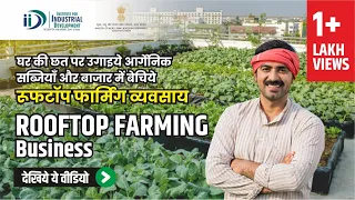 Rooftop farming || Organic Farming Solution || IID in Association with Living Greens